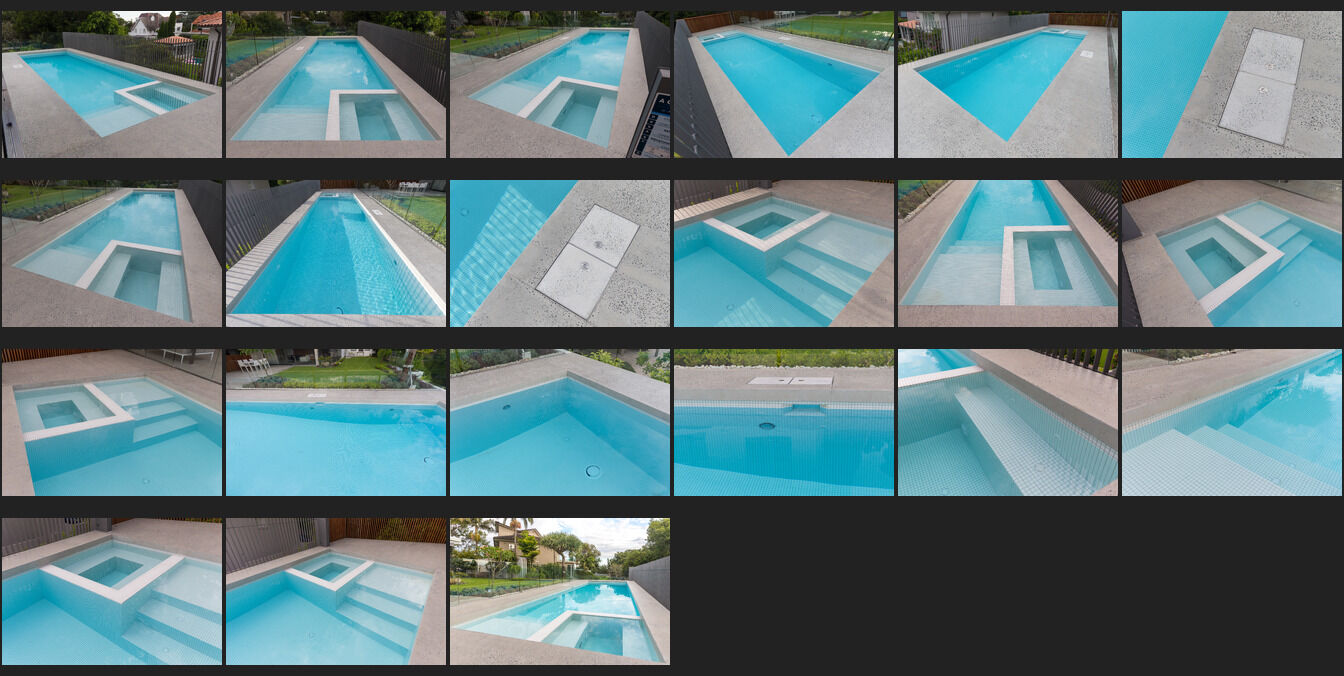 Bauer Residence pool and garden with established planting, Bellevue Hill
