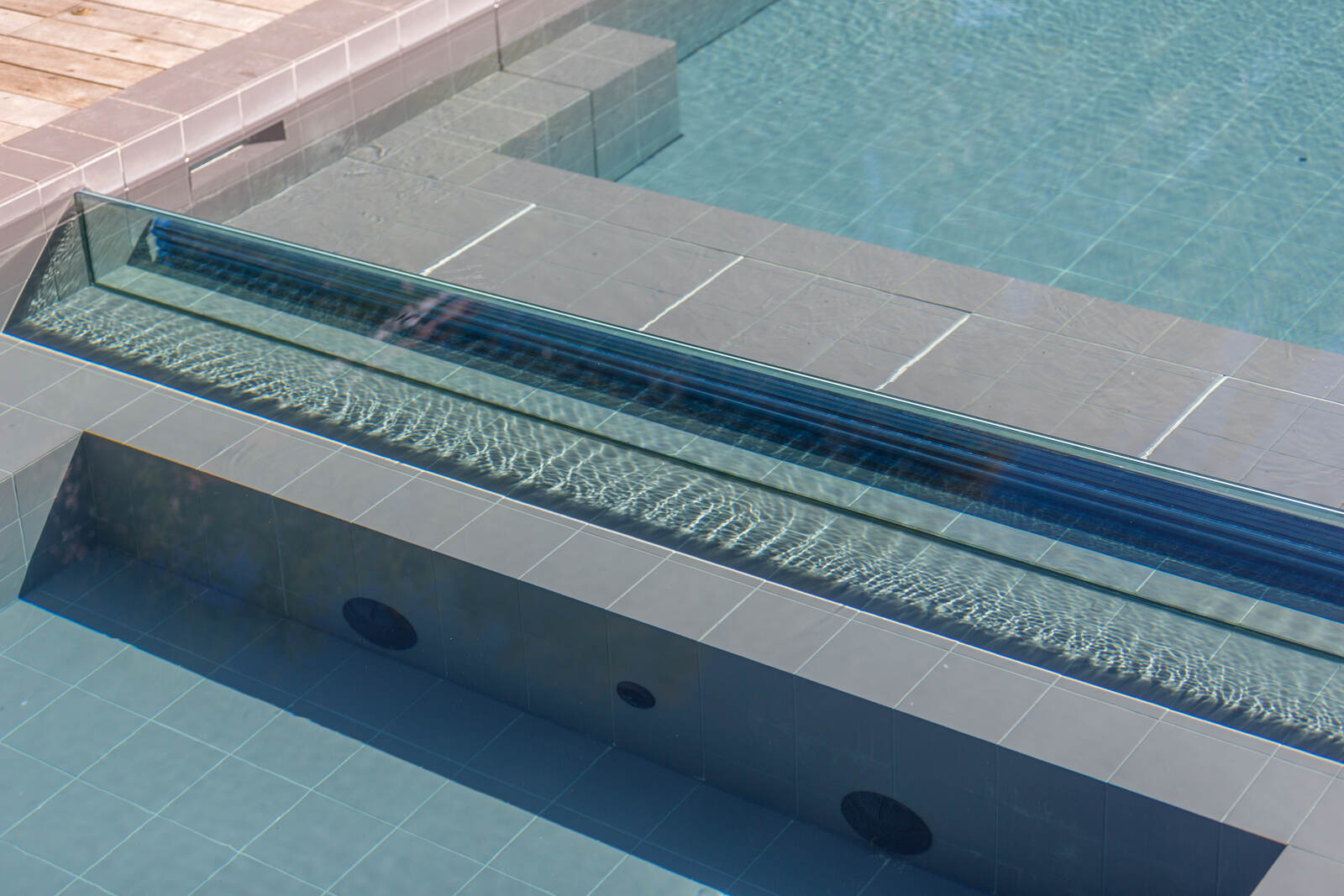 Darling Point pool and deck framed by palms, city skyline beyond