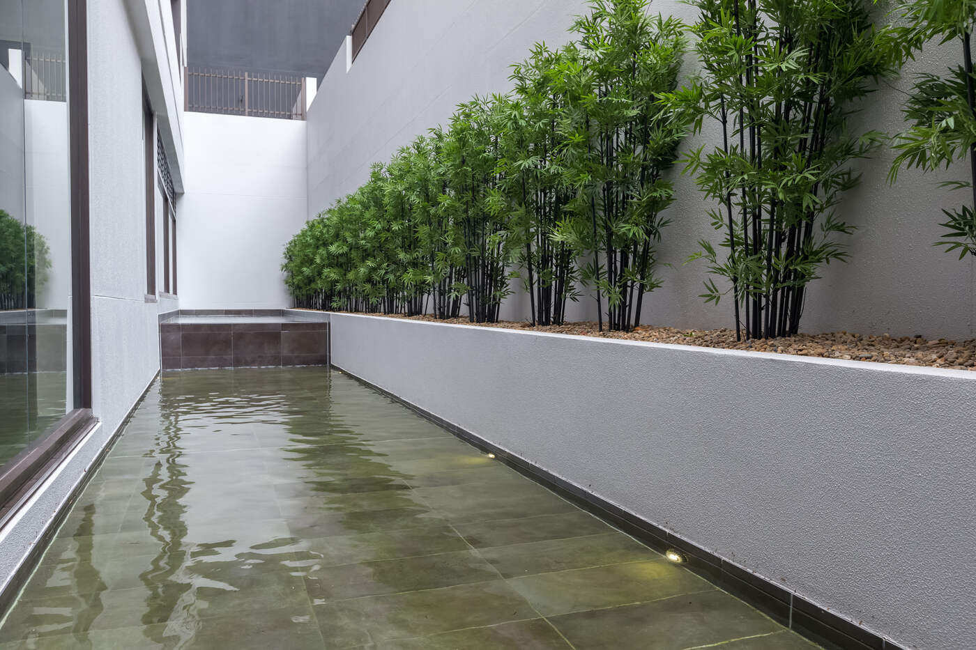 Reflection pond and bamboo along the wall, Platinum Apartments Zetland