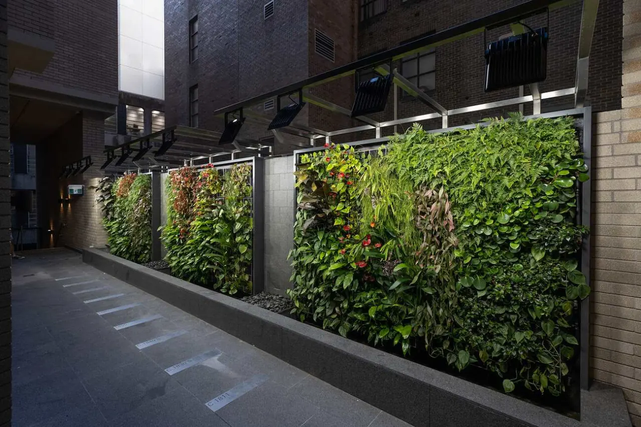 Planted living wall at the building entry, Sussex Street