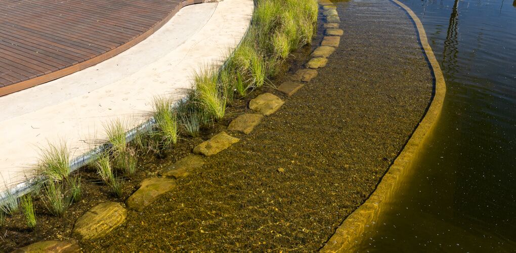 African Savannah pond edge detail