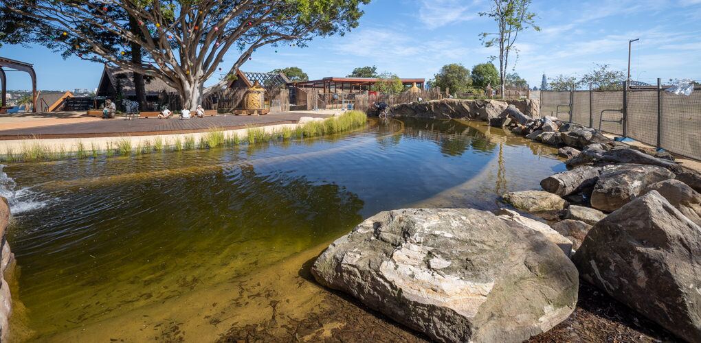 Naturalistic pond, rockwork and harbour view, Taronga Zoo